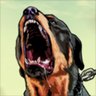 Leiva 26's profile picture