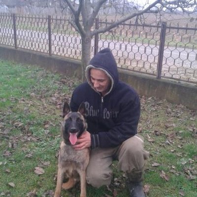 Dragan Panic's profile picture