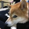 そうちゃん's profile picture