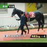競馬ひとり言 profil fotoğrafı