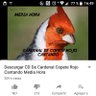 Ricky profil fotoğrafı