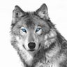 IAM Wolfegrade profil fotoğrafı