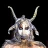 Robbie Vice's profile picture