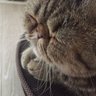 dai 的头像