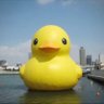 まー 的头像