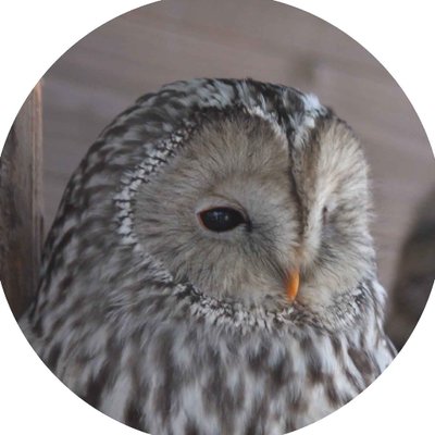 asyzoo_eastgate's profile picture