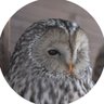 旭山動物園東門's profile picture