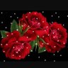 Profilbild von علاء مظلوم