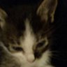 Profilbild von Manny