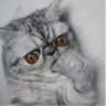 Profilbild von Alex