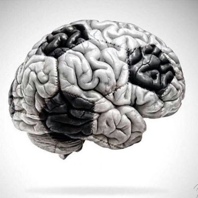 The Extreme Football Enthusiast's profile picture