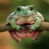 Фото профиля Jim Tucker
