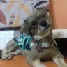 Jacky BV's profile picture