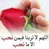 ( نبض المشاعر ) ابومحمد ❤️🌺🌹💐 的头像