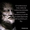 Político Real 的头像