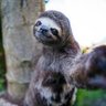 Kannaaaaar profil fotoğrafı