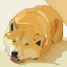 SoSketch • MuchWow 的头像