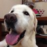 Profilbild von sugar