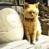 Profilbild von みん(ΦωΦ)ニャー