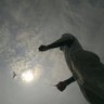 Hrafnkell Pálsson profil fotoğrafı