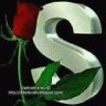 santosh karki's profile picture