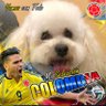 Profilbild von ANGYO🇨🇴Amomipaís