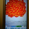 かきあげ法師's profile picture