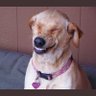 meg23's profile picture
