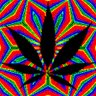 WheatRP 的头像