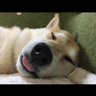 Фото профиля yuka