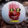 Faris's profile picture