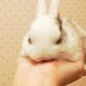 Фото профиля みなせ