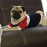 chucho♋ 的头像