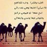 عاشق المجاهيم's profile picture