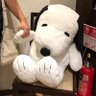 川本 香織 profil fotoğrafı