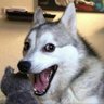 Profilbild von Matthias