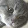 ワヌ's profile picture