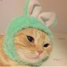 mimimi's profile picture
