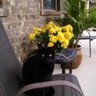 Allen Tyo # Husband to childless cat lady profil fotoğrafı