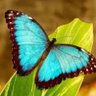 ülkü profil fotoğrafı