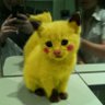 猫のピカチュウ (koji )'s profile picture