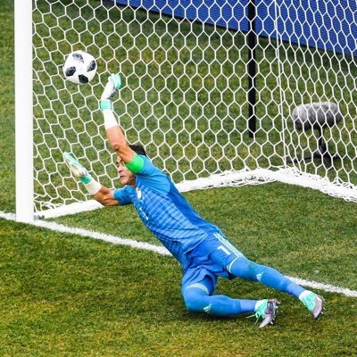 Essam El-Hadary's profile picture