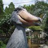 ハシビロさん's profile picture