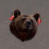 педик made of spicy bear meat 🐻's profile picture
