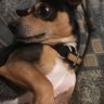 Profilbild von RainyDais