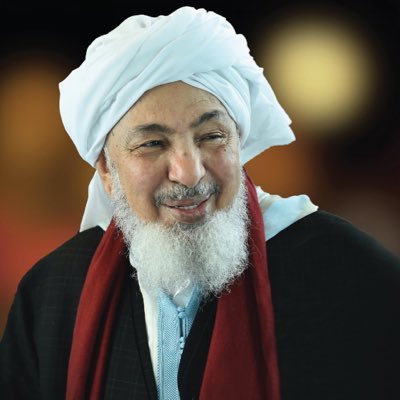 Bin_Bayyah's profile picture