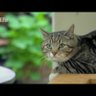 うちわ profil fotoğrafı