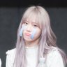 Profilbild von 웬린 🐰🐶