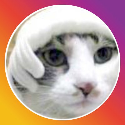 ken_sugar's profile picture