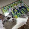 ぴろこ profil fotoğrafı